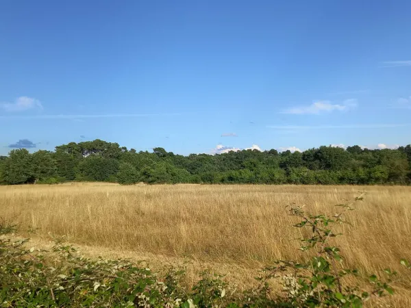 Terrain 1760 m²