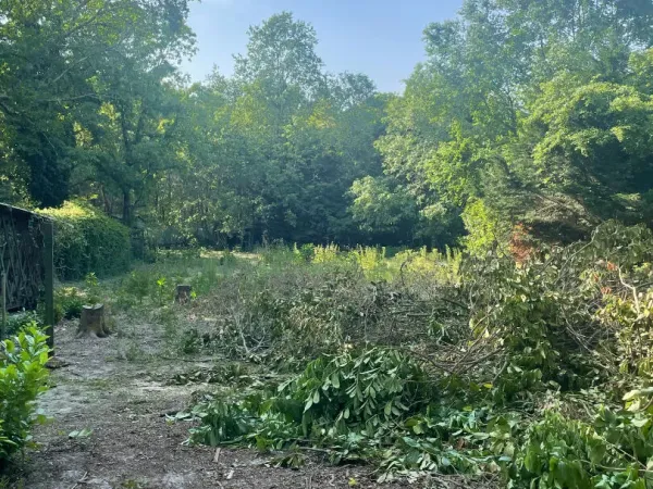 Terrain 910 m²