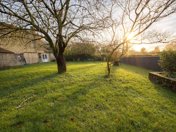 Terrain 581 m²