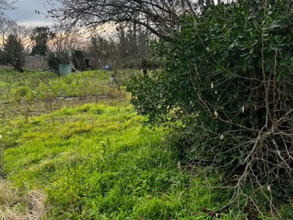 Terrain 1500 m²
