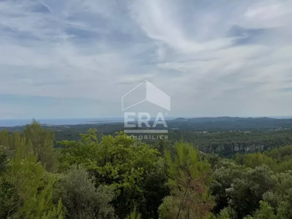Domaine forestier 24535 m²
