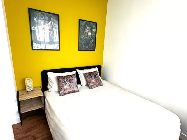 Appartement 1 pièce 19 m²