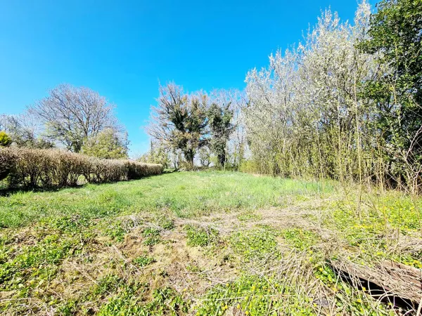 Maison 1 pièce 51 m²