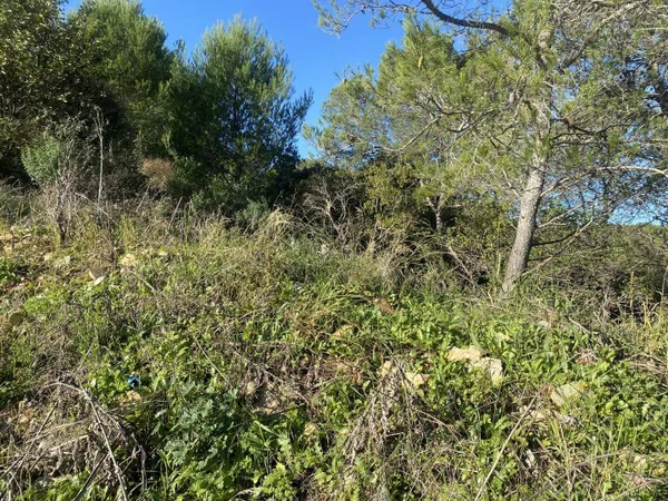 Terrain constructible 3000 m²