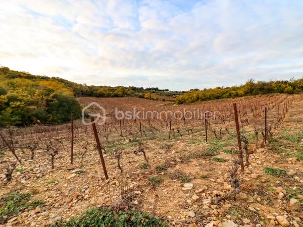 Terrain 42000 m² 