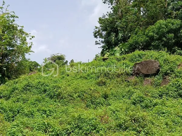 Terrain 466 m² 