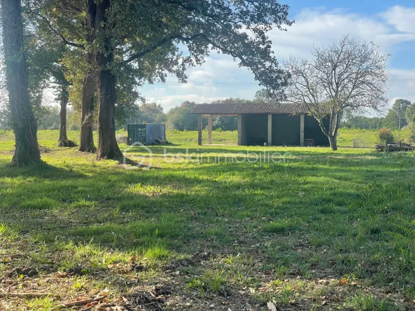 Terrain 2811 m² 