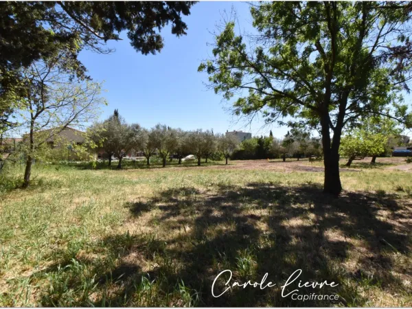 Terrain 779 m²