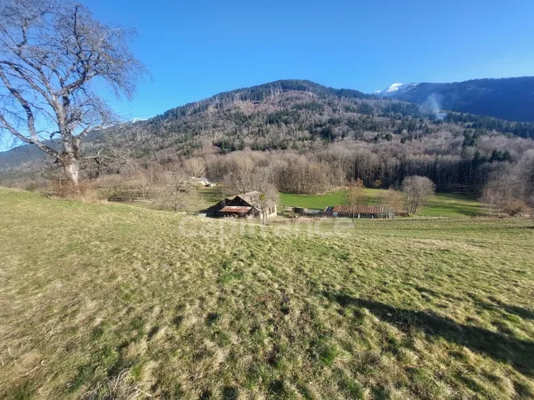 Maison 3 pièces 350 m²