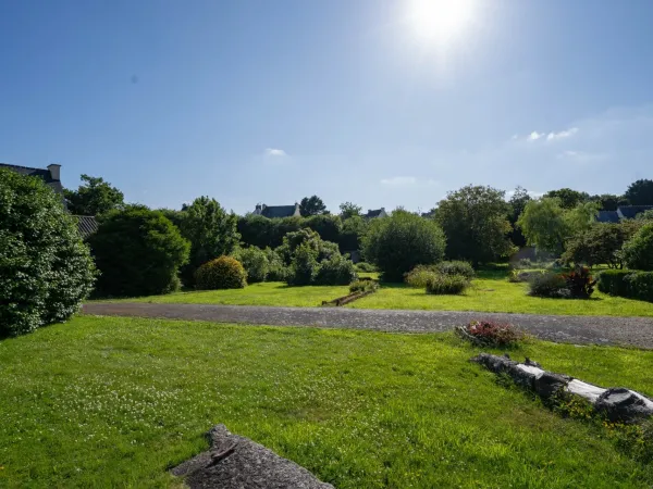 Terrain 1256 m²