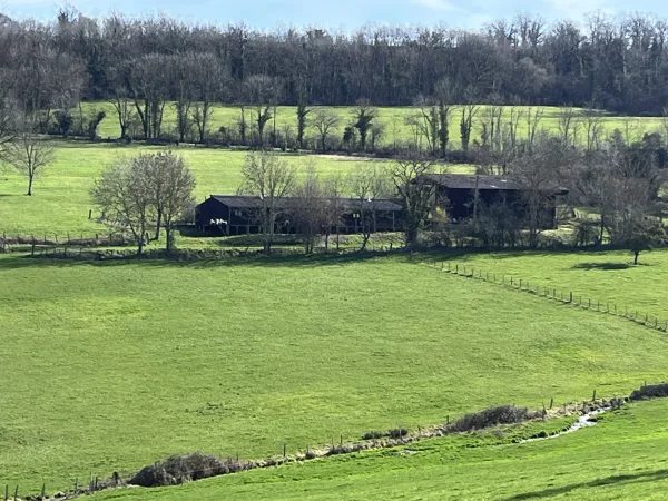 Semur-en-Auxois 20 min: maison de 360m², 10 pièces, 6 chambres, terrain 1700m², atelier. Prix : 435 