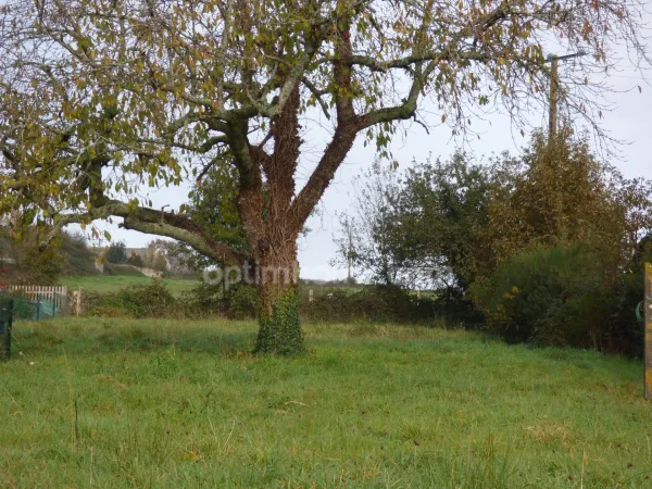 Terrain 1238 m²