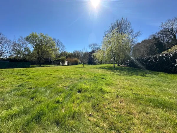 Terrain 915 m²