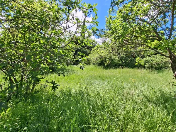 Terrain 676 m²