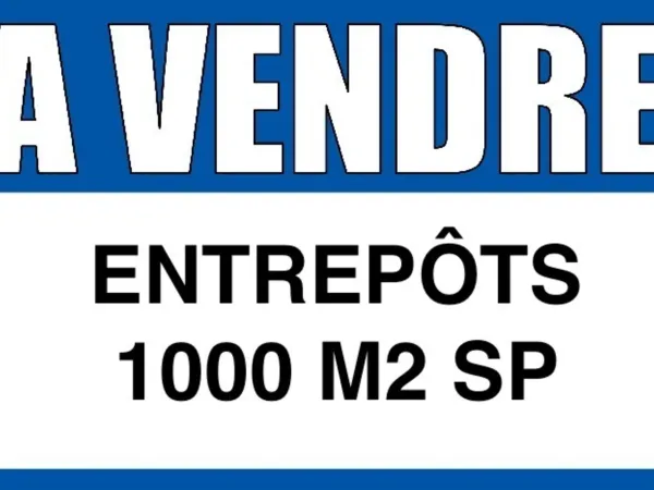 Local 1000 m²