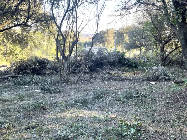 Terrain 400 m²