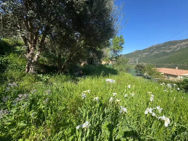Terrain 623 m²