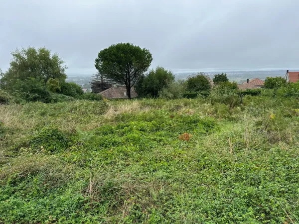 Terrain 895 m²