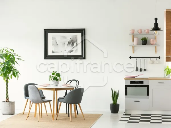 Appartement 1 pièce 20 m²