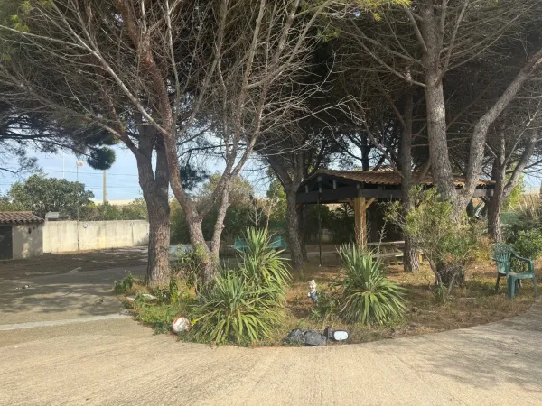 Terrain 5997 m²
