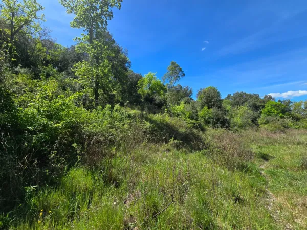 Terrain 1782 m²