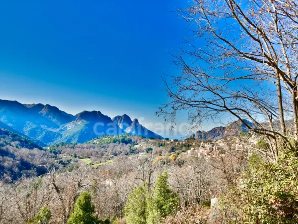 Propriété 36 pièces 764 m²