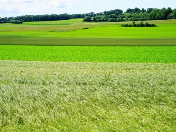 Terrain 680 m²