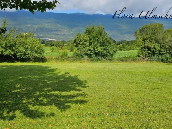 Terrain 1232 m²