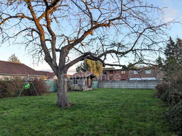 Terrain 596 m²
