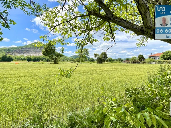 Terrain 4300 m²