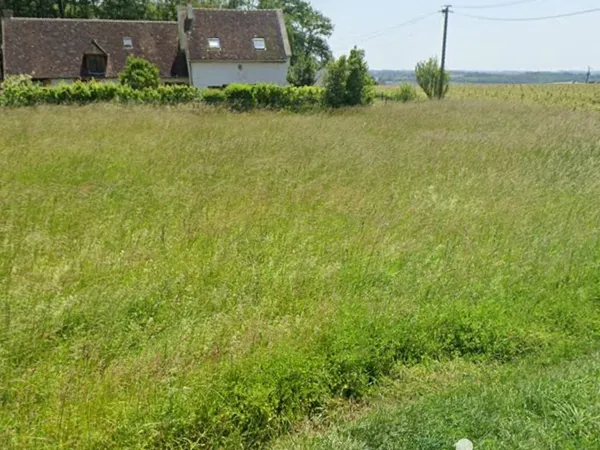 Terrain 991 m²