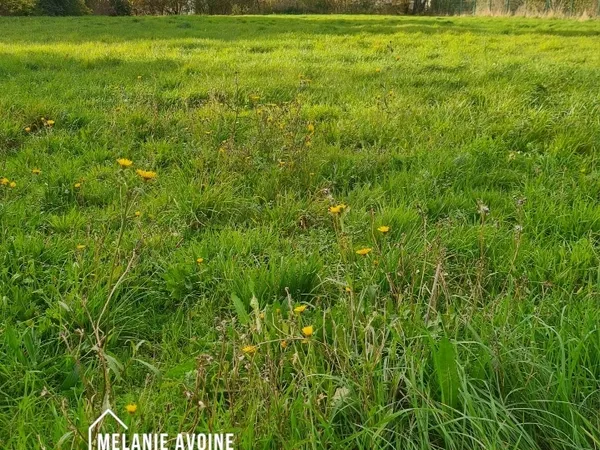 Terrain 2140 m²