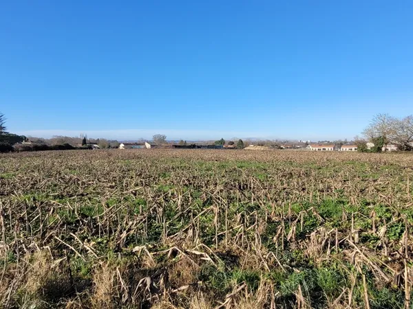 Terrain 11924 m²