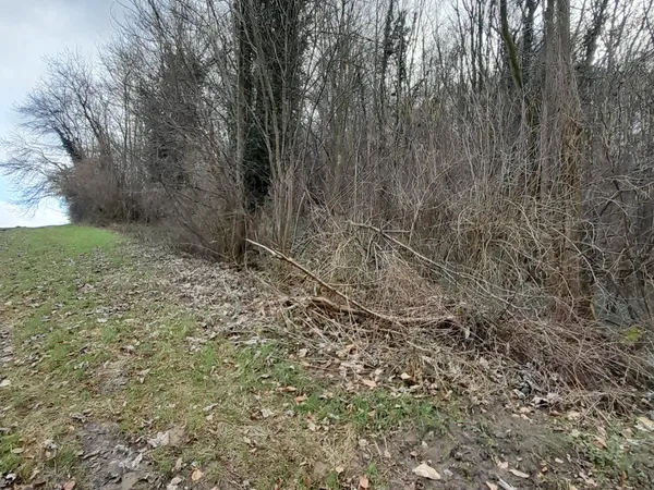 Terrain 83185 m²