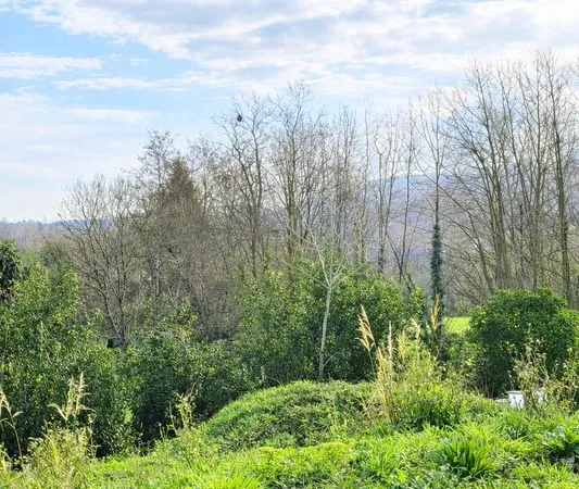 Terrain 853 m² Urrugne
