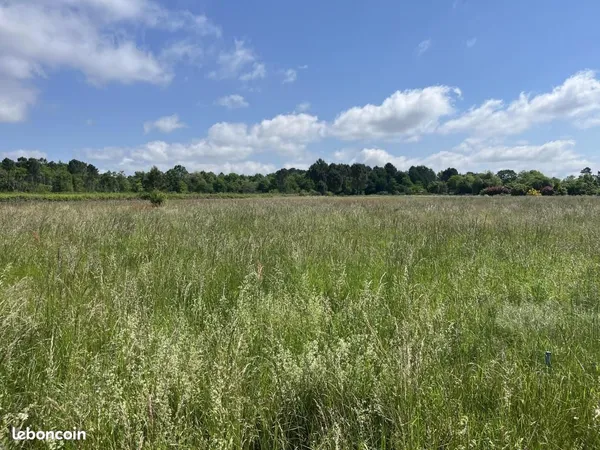 Terrain 10 000 m² Bazas