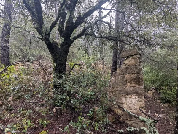 Terrain 13992 m² Cotignac