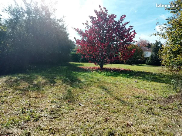 Terrain 825 m2