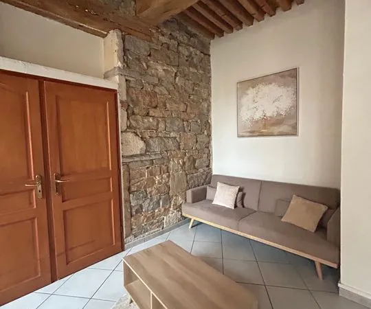 Appartement de 46m2 à louer sur Lyon 01