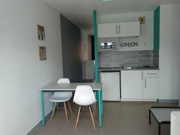 Studio de 30m2 à louer sur Saint-Étienne