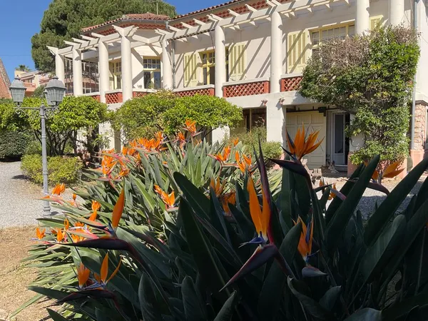 Appartement de 50m2 à louer sur Hyères