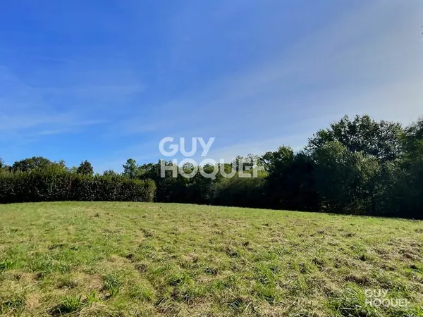 Terrain viabilisé avec bois 6420 m² proche Hagetmau