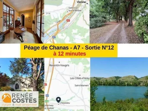 Viager occupé - F74 ans - CHEYSSIEU (38550)