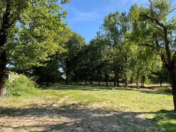 Terrain Saint Etienne De Tulmont 7282 m2