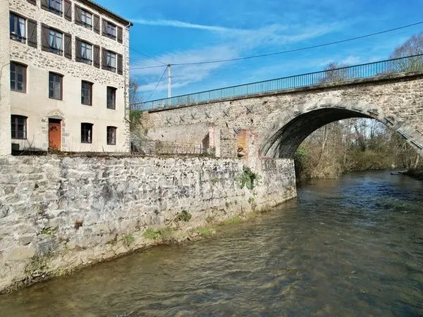PROPRIÉTÉ EN PIERRE 545 M2, TERRAIN ARBORÉ DE 6972 M2, ANCIEN MOULIN, GÎTE, APPARTEMENT, MAISON, STU