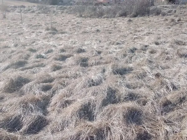 Terrain 0 pièces