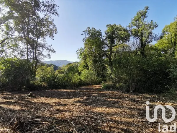 Terrain 3045 m²