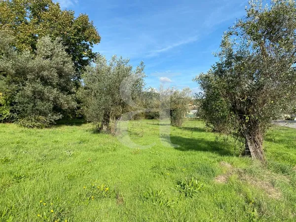 Terrain dans la région de Nyons