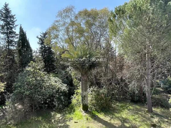 MAISON SUR 3200 M² DE TERRAIN EN CENTRE-VILLE