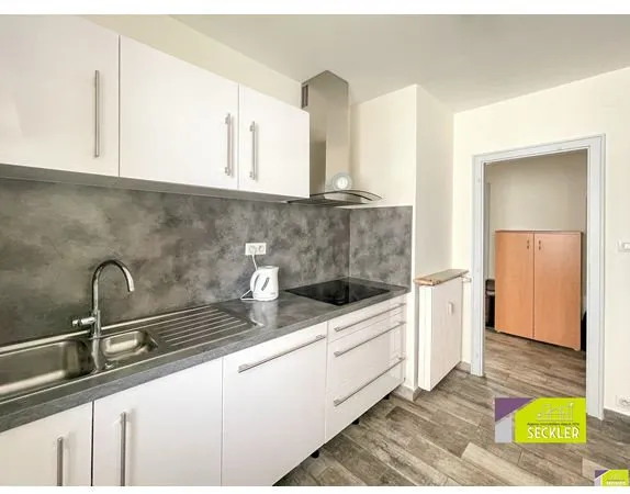 APPARTEMENT 4 PIECES DE 85 M2 - COLMAR CENTRE